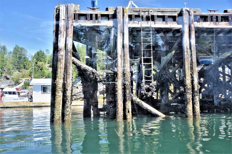 dock with short ladder